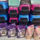 مستلزمات قطط