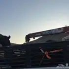 دينا لنقل الابل وغيرها