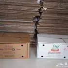 كراتين بيض للبيع
