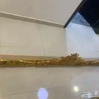 ديكور ستاره