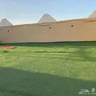 محافظة الوجه - استراحه مفروشه للايجار سكن عمال شركات