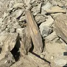 ابها طريق القريقر