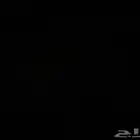 دنه الجار ماشي جده المدينه الطايف 5 متر