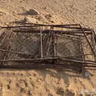 درف غنم