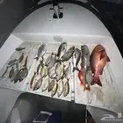 رحلات صيد بوت قارب