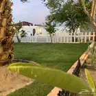 استراحات وشاليهات حوري للإيجار اليومي.
