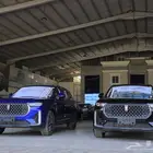 بيستون فاو T99 فل كامل ليموزين م2023 تصفية بأفضل سعر