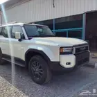 برداو TXL3 بنزين 2025 عرض للكاش