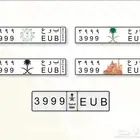 لوحة مميزة للبيع