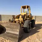 شيول للاجار البكيريه الشيحية ساق