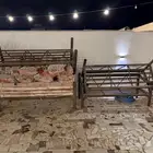 جلسات كويتيه