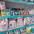 اكل قطط