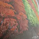 Hand painted painting