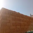تبن قمح