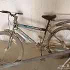 سيكيل للبيع