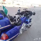 قولد وينق نظيف للبيع