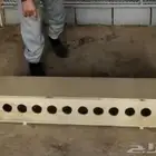 معالف حمام ودجاج