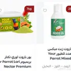 Your Parrot متوفرة الآن اكل ببغاء طيور