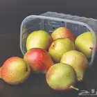 شركة جملة المستهلك التجارية