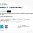 شهادة تكنولوجيا المعلومات معتمده من سيسكو (عدد دورتين)