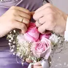 مصورة عرايس