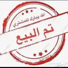 فروخ دجاج حبشي ( سلالة نقيه )