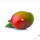 مانجو جازان