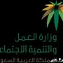 الآن نخدمك بالبلاغات 200 ريال جميع المناطق