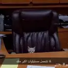 مطلوب شقة عمال في حي المنار