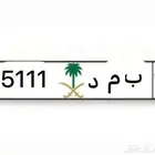 لوحة خصوصي شبه مميزة للبيع