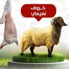 ذبايح و خرفان للبيع