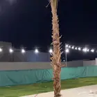 شبك حديد معه شبك اخظر