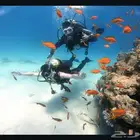 تجربة غوص على يد مدربين محترفين