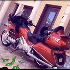هوندا قولد وينج 2013
