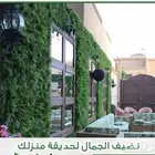 عشب جداري جملة الجمله