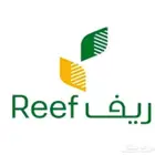 تقديم علي ريف