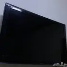 تلفزيون
