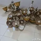 ثريات زجاجية وكلاسيك