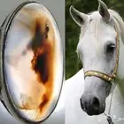 النوادر عقيق مصور خيل