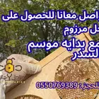 نحل مصرى مرزوم