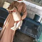 ارانب الفلاندر البيور Gaint Flanders