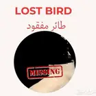 من له طائر مفقود قريب السعودي الألماني