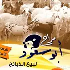 ذبائح برية مع التوصيل لحد بيتك