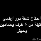 مطلوب شقة
