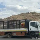 ميتسوبيشي دينا
