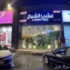 كور مضيئة و مجسمات جمالية للحدائق المنزلية