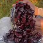تمر حلوة الجوف