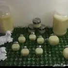 سمن غنم سوري عالي الجوده