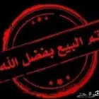 فروخ حبشي ابيض