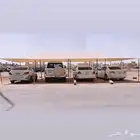 مضلة حلال - مضلي ابل تضليل _ ضلال